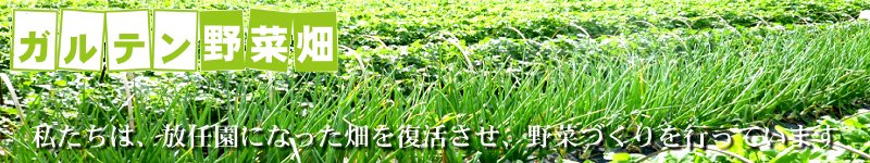 �H�Ö�K���e���w��ؔ��x